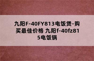 九阳F-40FY813电饭煲-购买最佳价格 九阳f-40fz815电饭锅